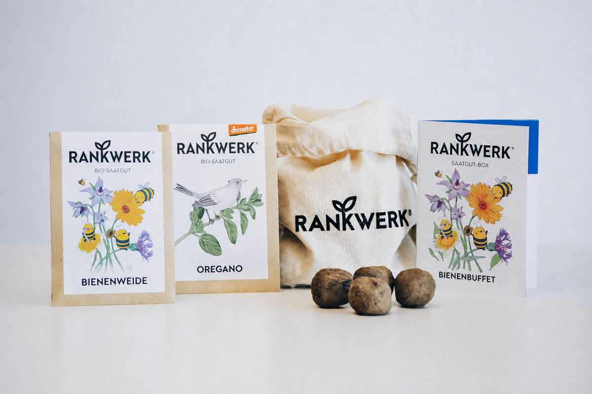 Bio Saatgut-Box „Bienenbuffet“ Blumensamen
