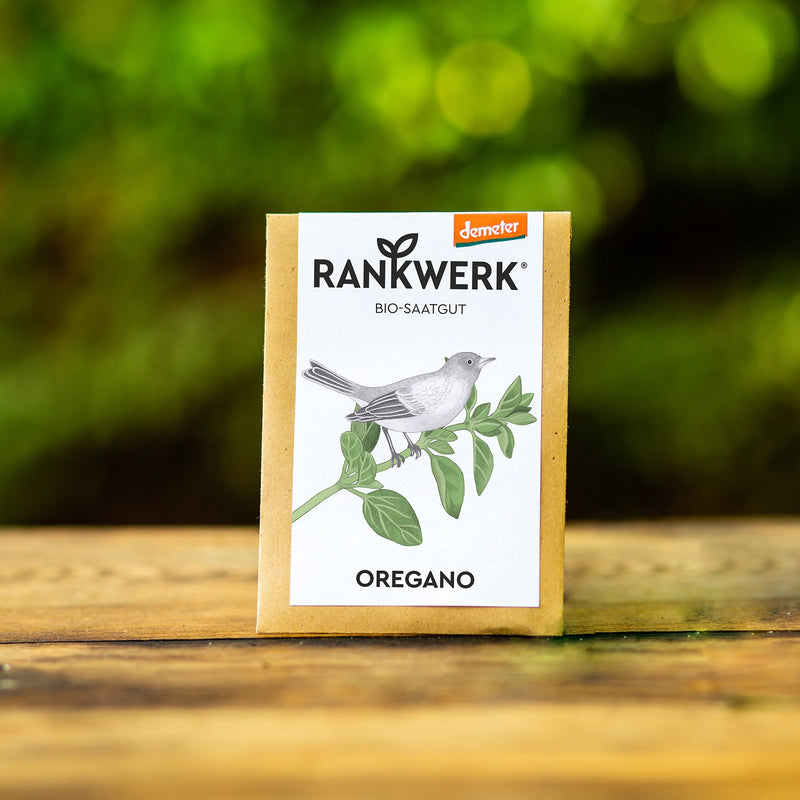 Oregano "griechisch"