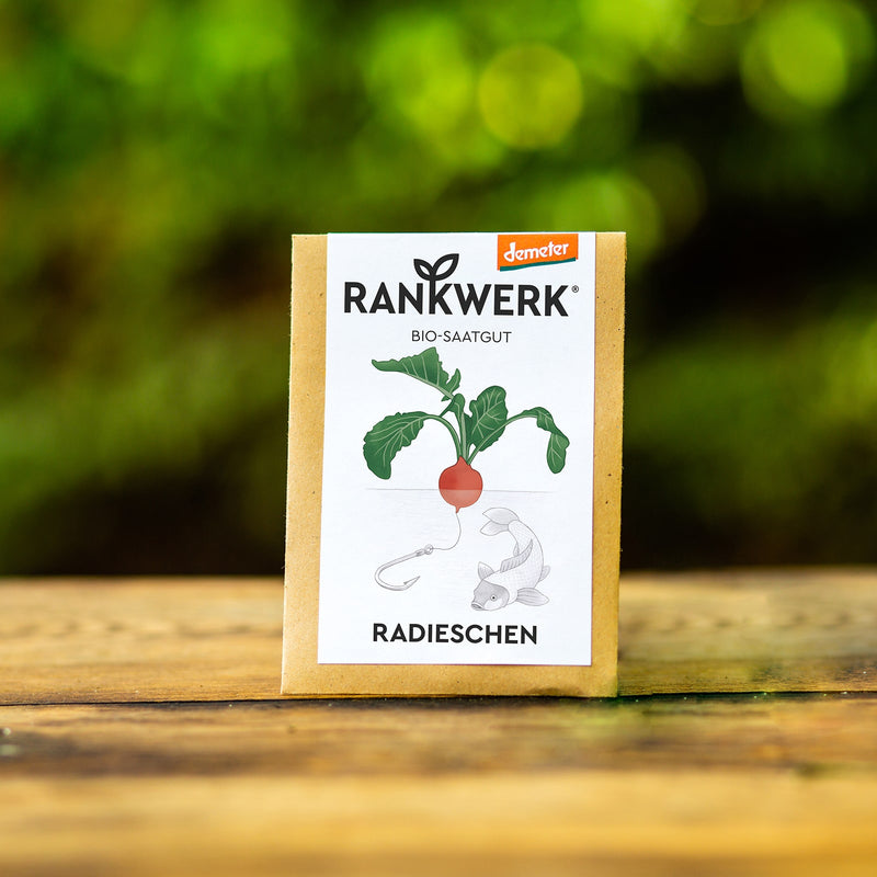 Radieschen "Sora"