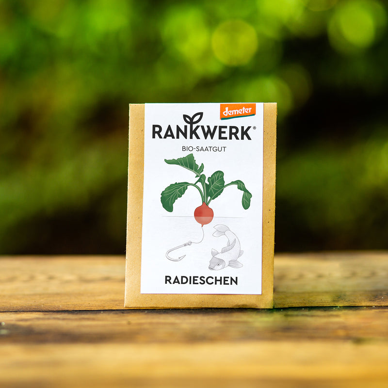 Radieschen "Rudi"
