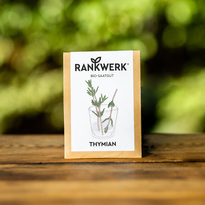 Thymian "Deutscher Winter"