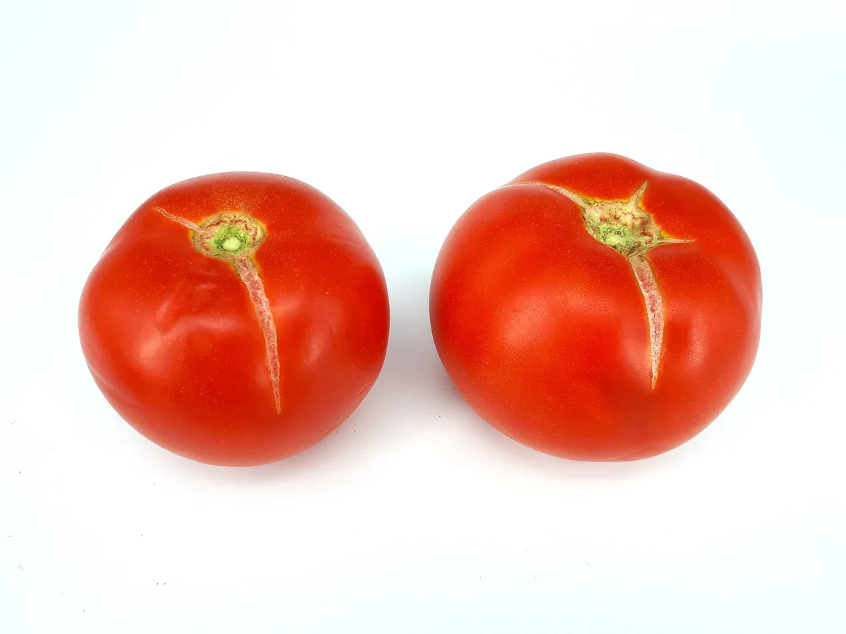 Aufgeplatzte Tomaten